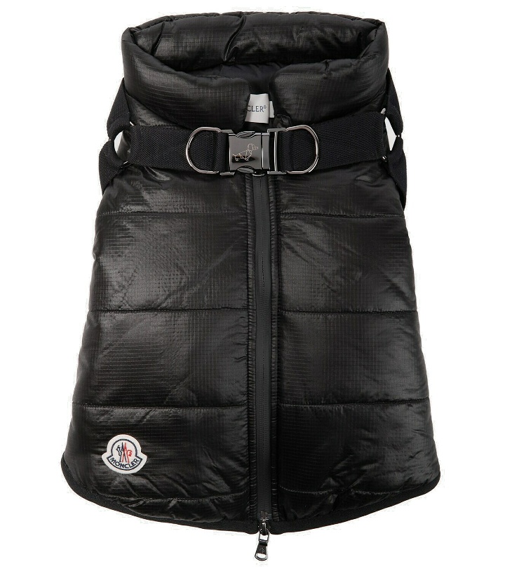 Photo: Moncler Genius - x Poldo Dog Couture dog coat with harness