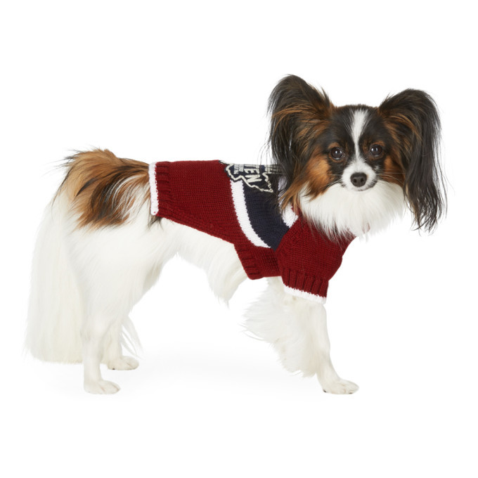 Photo: Dsquared2 Red Poldo Dog Couture Edition Small Quebec Sweater