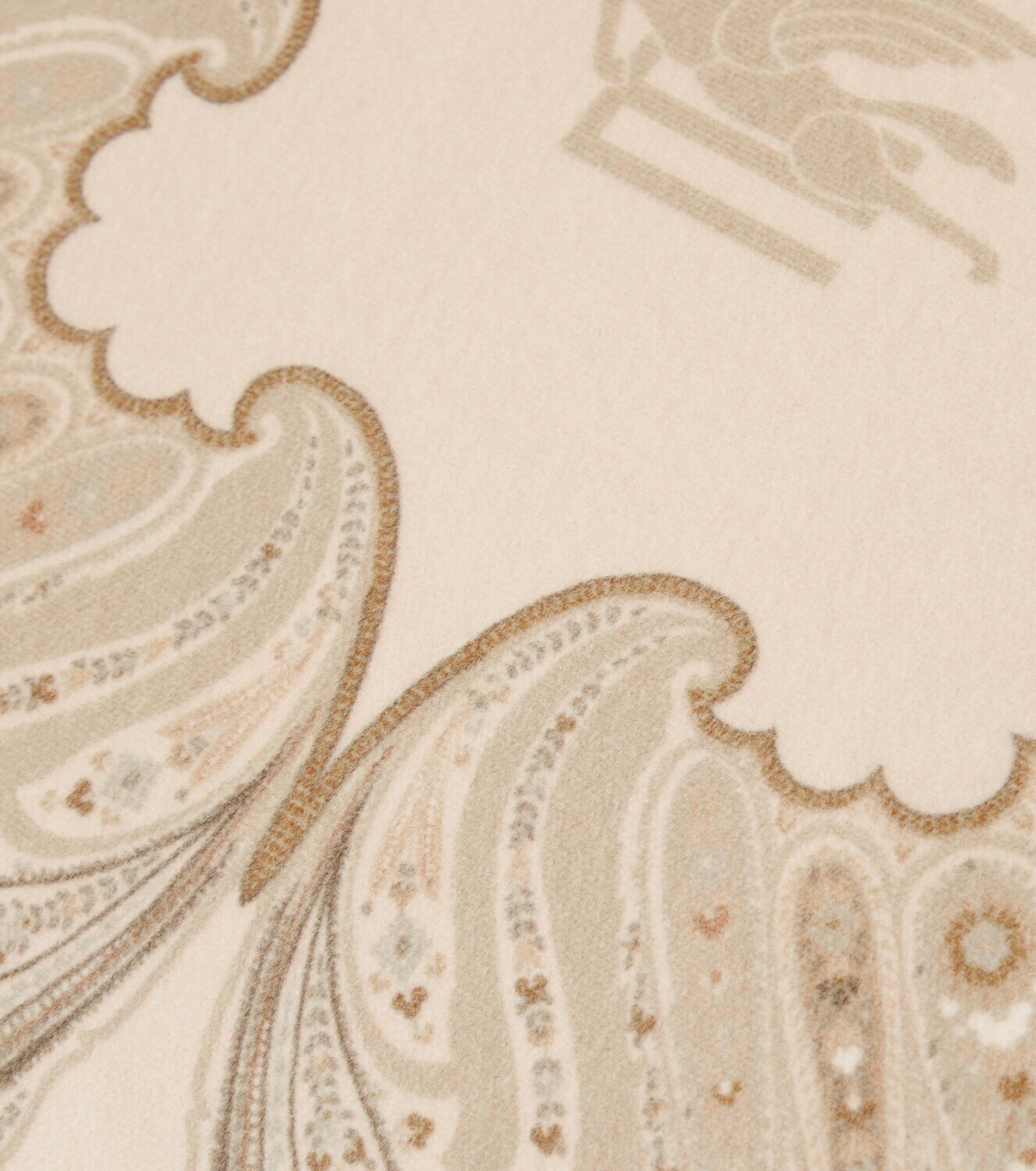 Etro Pegaso paisley cotton velvet cushion