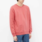 Colorful Standard Men's Classic Organic Crew Sweat in Raspberry Pink