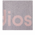 Acne Studios Toronty Logo Scarf in Light Pink/Grey