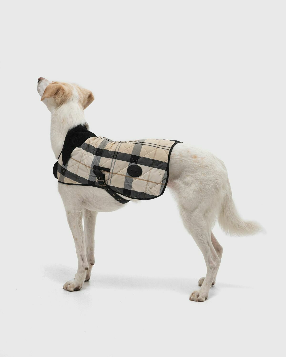 Barbour Tartan Coat Beige Mens Pet Care