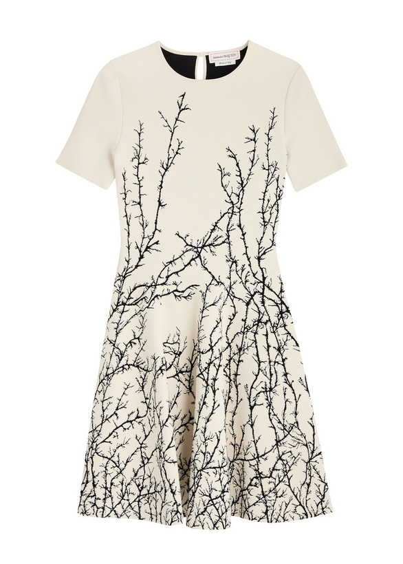 Photo: Alexander Mcqueen Thorn Branches Knitted Mini Dress Multi Print