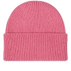 Colorful Standard Merino Wool Beanie in Bubblegum Pink