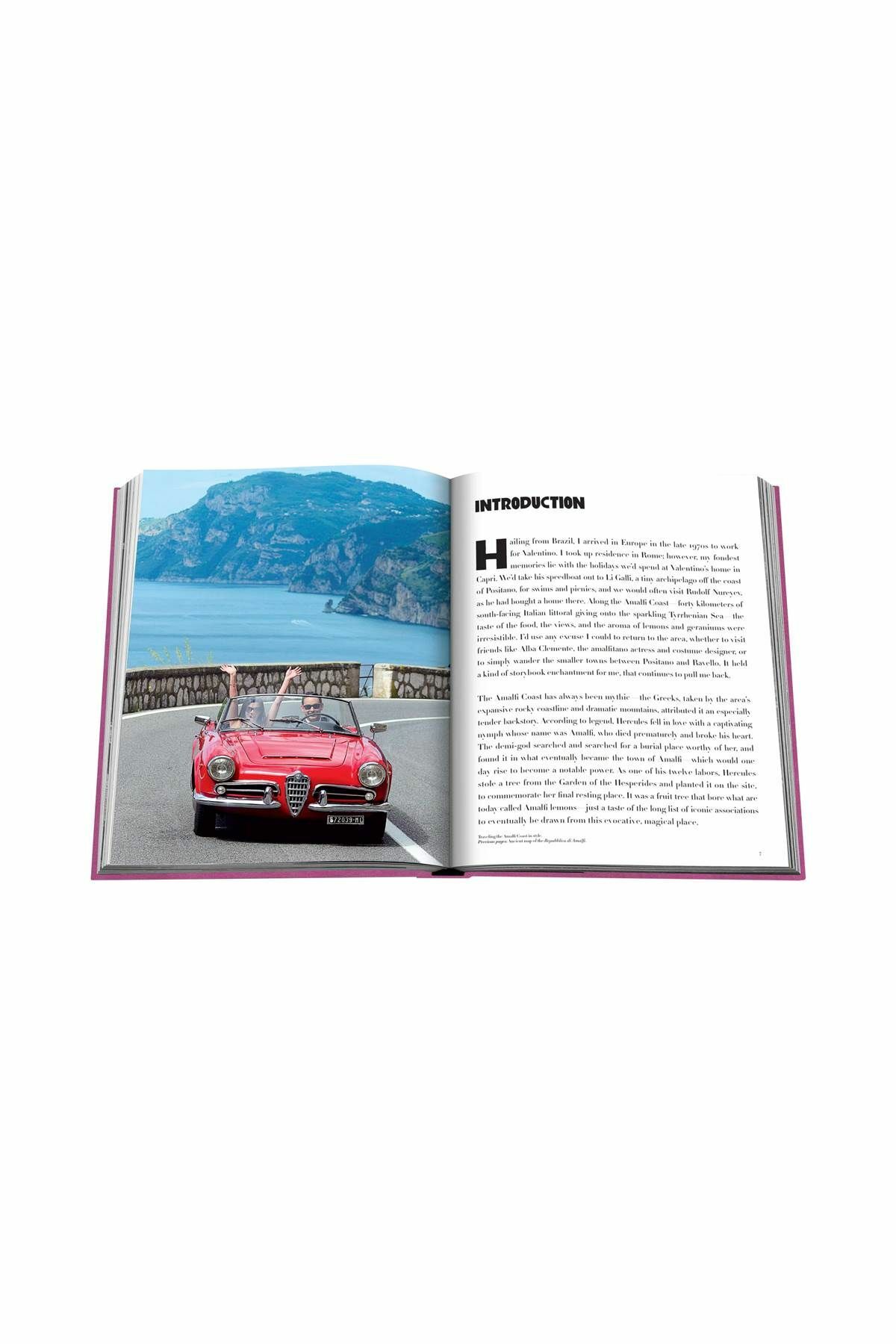 ASSOULINE 'coastal Purple