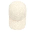 Anine Bing Women's Jeremy Baseball Cap in Multi 