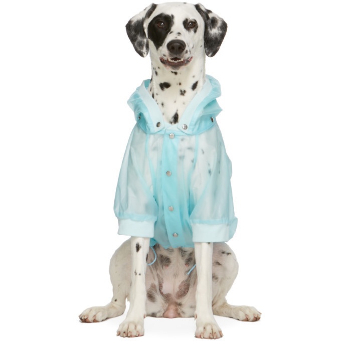 Photo: Moncler Genius Blue Poldo Dog Couture Edition Waterproof Coat