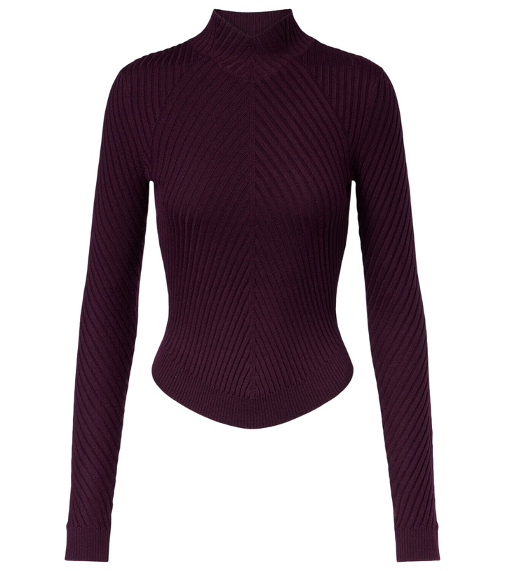 Photo: Victoria Beckham Ribbed-knit wool turtleneck top