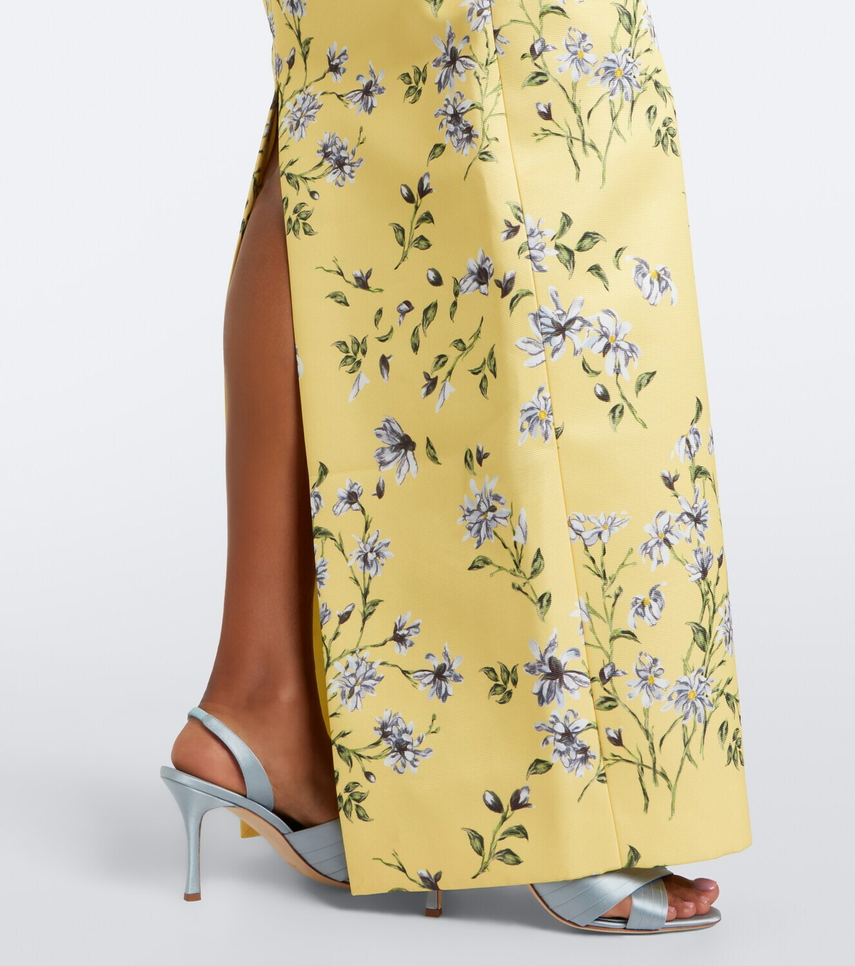 Emilia Wickstead Laelia floral bustier gown