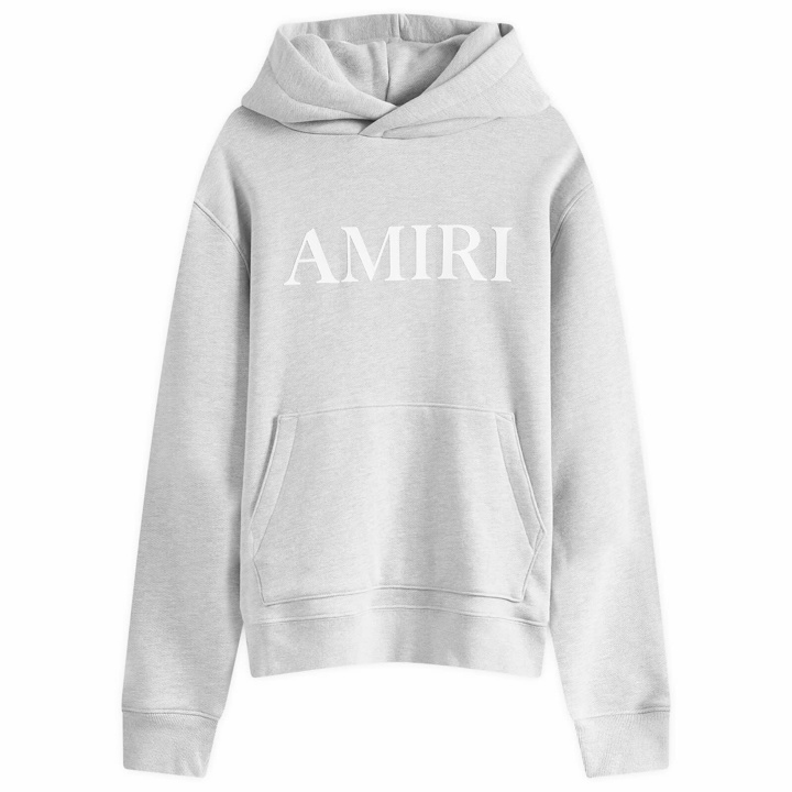 Photo: AMIRI Men's Core Logo Hoodie in Grey