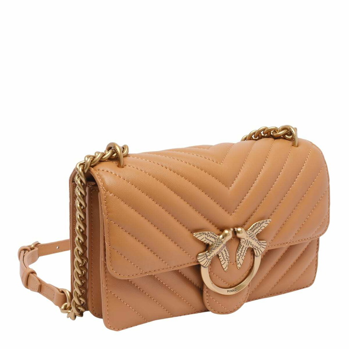 Photo: Pinko Mini Crossbody Bag