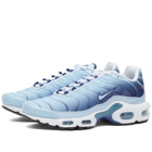 Nike W Air Max Plus Sneakers in Antarctica/Midnight Navy/Black