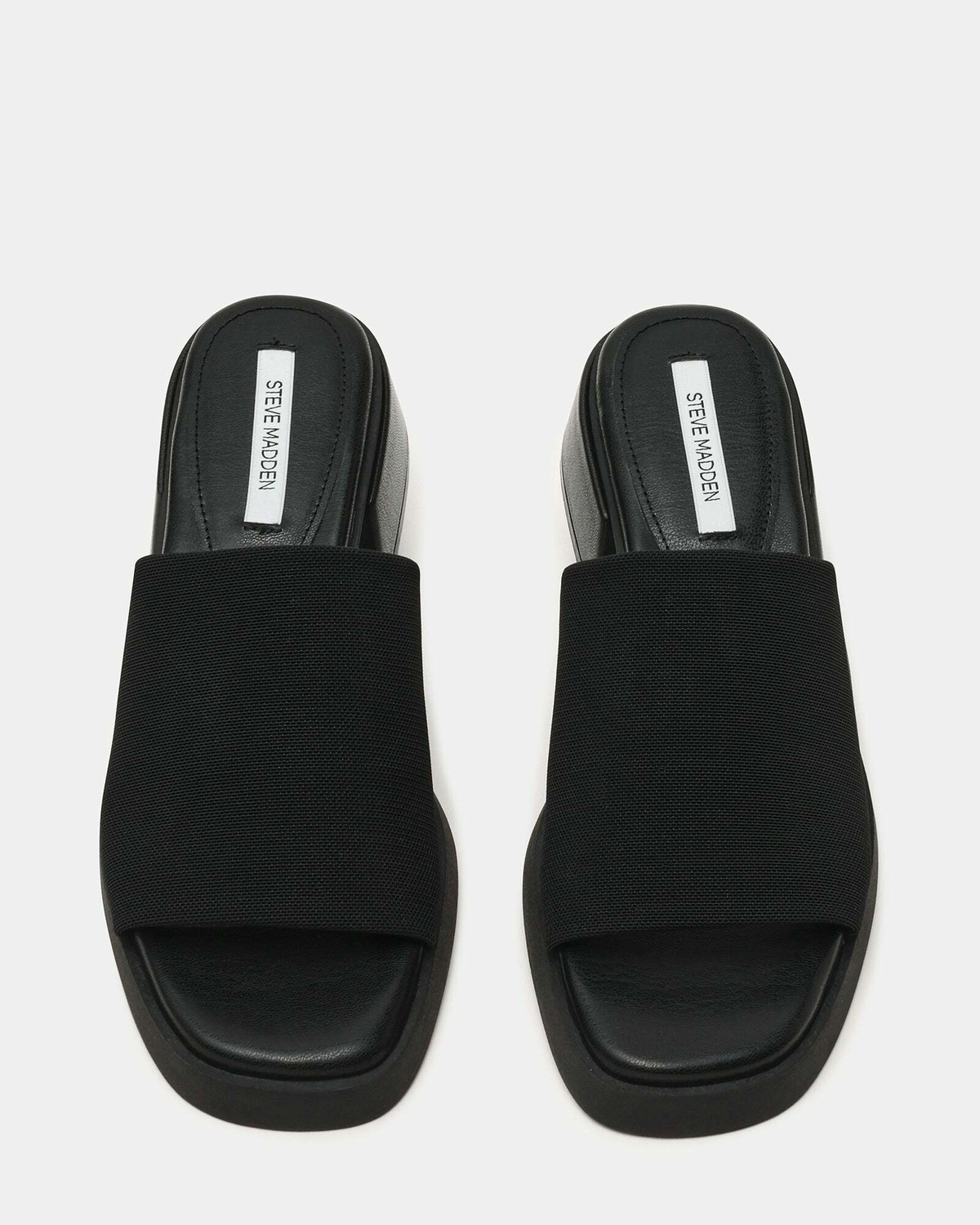 Steve Madden Lucee Heels in Black