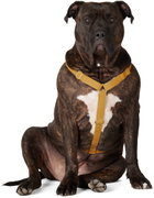 See Scout Sleep Yellow The Scot Extra Large Original Harness