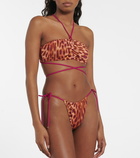 Stella McCartney - Leopard-print bikini bottoms