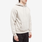 Polar Skate Co. Men's Default Hoody in Pale Taupe