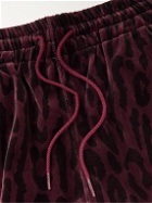Wacko Maria - Tapered Logo-Embroidered Leopard-Print Cotton-Velvet Sweatpants - Burgundy