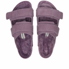 Birkenstock 1774 x TEKLA Uji Suede in Mauve