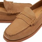 Bass Weejuns Men's Penny Nubuck Loafer in Earth