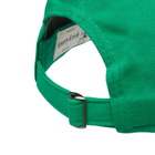 Sporty & Rich Men's 1800 Health Embroidered Cap in Verde/White 