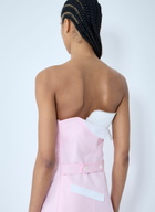 Miu Miu Poplin Dress