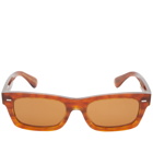 Oliver Peoples Men's 5510SU Sunglasses in Sugi Tortoise