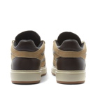 Represent Men's Reptor Low Sneakers in Coffee/Wheat