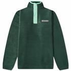 Columbia Men's Steens Mountain Half Snap Fleece in Spruce Green And Kelp