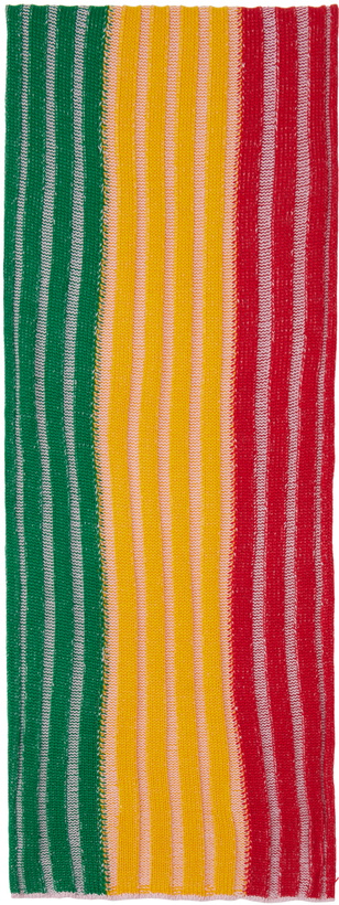 Photo: Stanley Raffington SSENSE Exclusive Multicolor Plated Ribbed Scarf