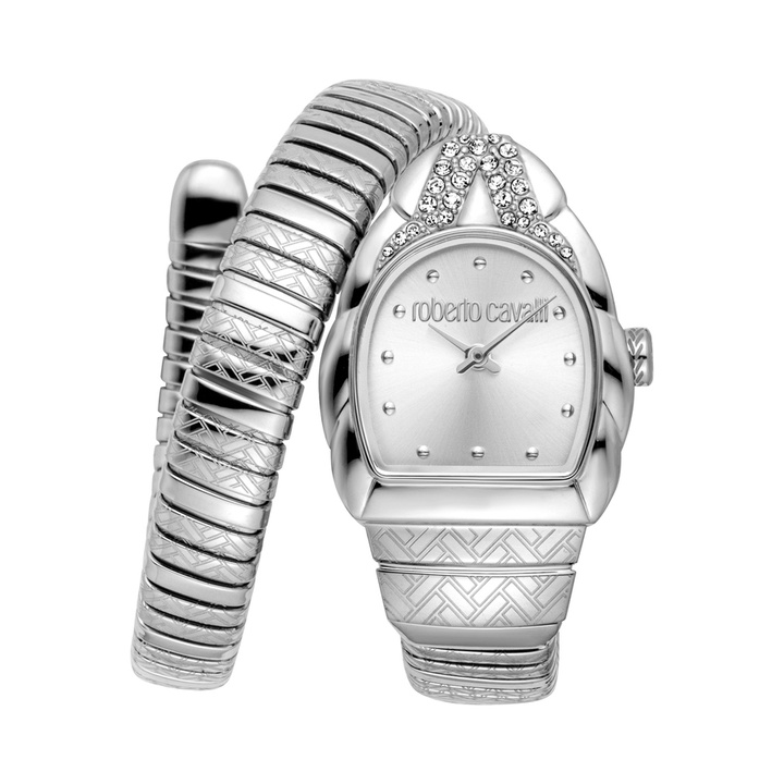 Photo: Roberto Cavalli Aurora Silver-tone Dial Ladies Watch RC5L133M0015