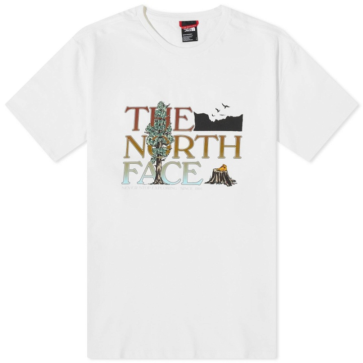 Photo: The North Face Men's Graphic T-Shirt in Gardenia White
