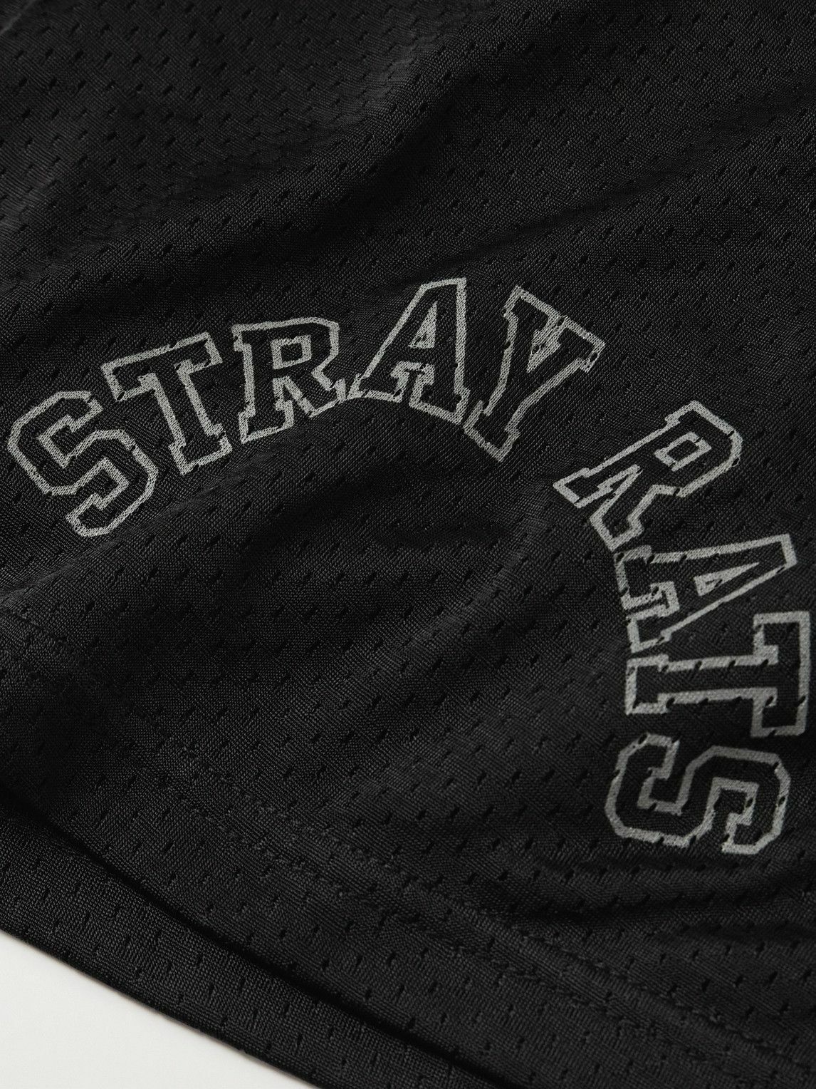 Stray Rats - Arch Straight-Leg Logo-Print Mesh Shorts - Black Stray Rats