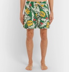 Polo Ralph Lauren - Traveller Mid-Length Printed Swim Shorts - Green