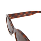 Gucci Women's Eyewear GG1579S Sunglasses in Havana/Brown 