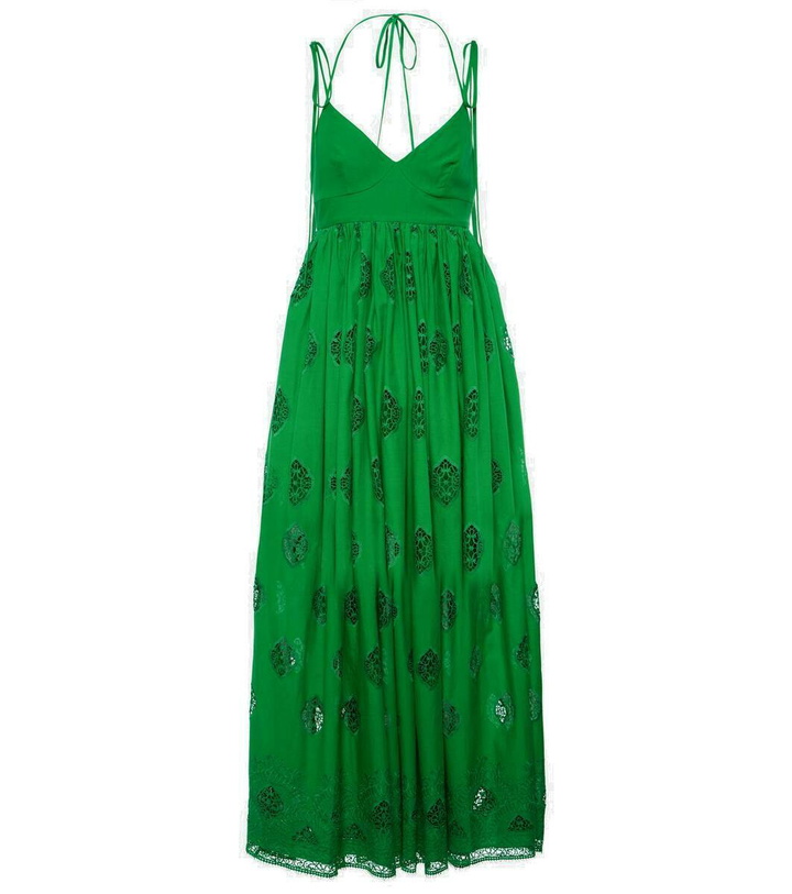 Photo: Erdem Embroidered cotton-blend midi dress