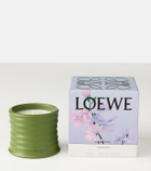 Loewe Home Scents Luscious Pea Small candle