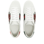 Gucci Men's New Ace GRG Snake Sneakers in White