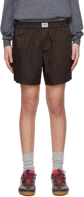 Photo: Commission Brown Boxer Shorts