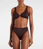 Heidi Klein Coco Palm high-rise bikini bottoms