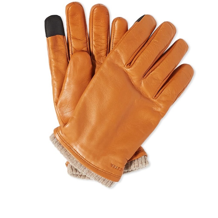 Photo: Hestra Men's John Touchscreen Glove in Cork