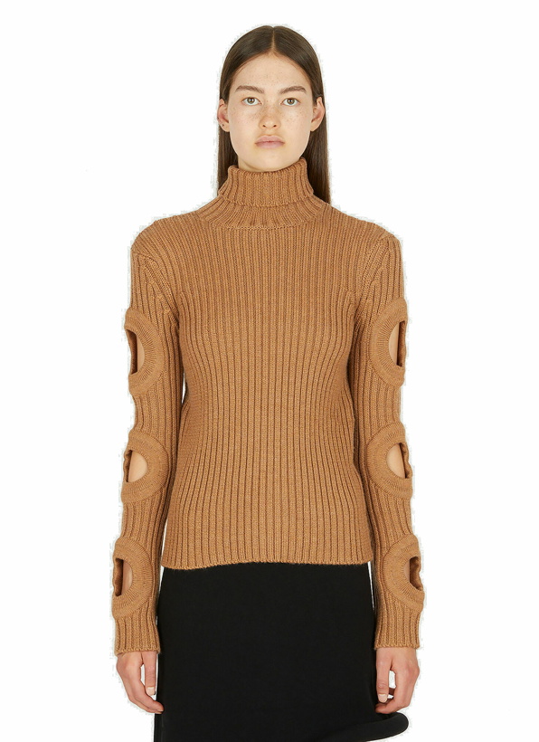 Photo: Cut-Out Sleeve Roll Neck Sweater in Camel