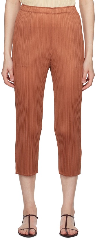 Photo: PLEATS PLEASE ISSEY MIYAKE Brown Monthly Colors June Trousers