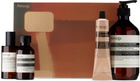Aesop Screen 1 Set
