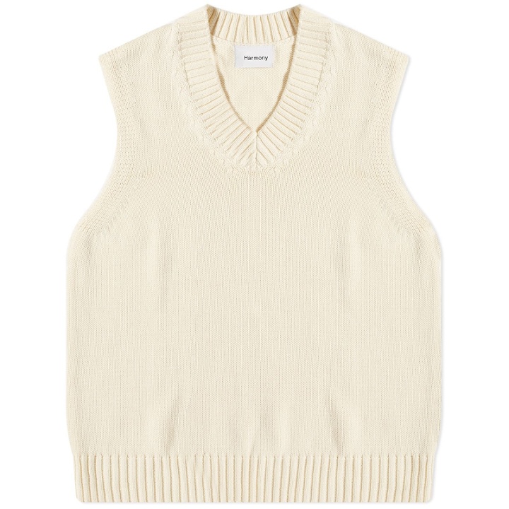 Photo: Harmony Men's Willow Knitted Vest in Ecru
