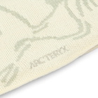 Arc'teryx Bird Head Toque in Sea Salt/Habitat 