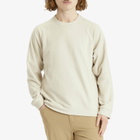 Patagonia Men's Micro D Crewneck Fleece in Pelican
