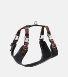 Gucci XS GG canvas leather-trimmed dog harness