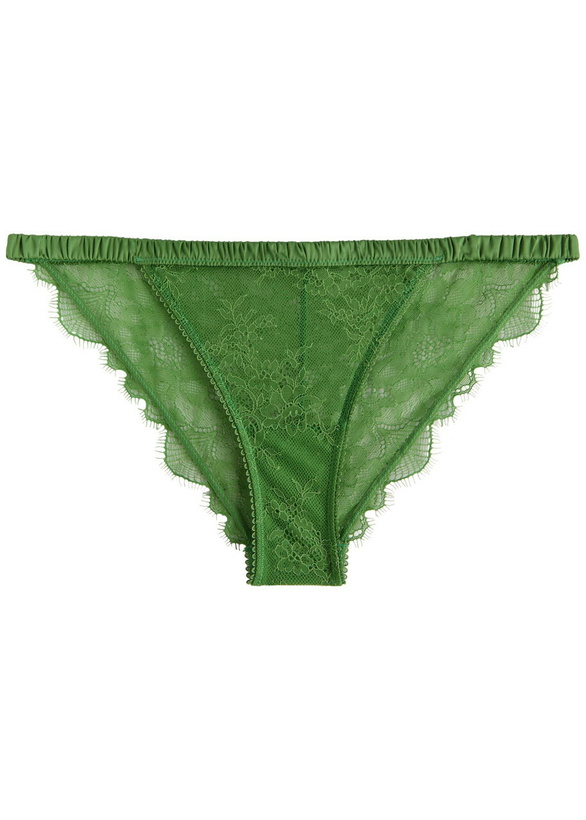 Photo: Love Stories Wild Rose Lace Briefs Sage