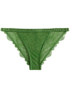 Love Stories Wild Rose Lace Briefs Sage