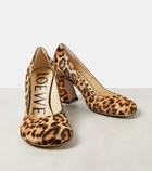 Loewe Calle leopard-print calf hair pumps